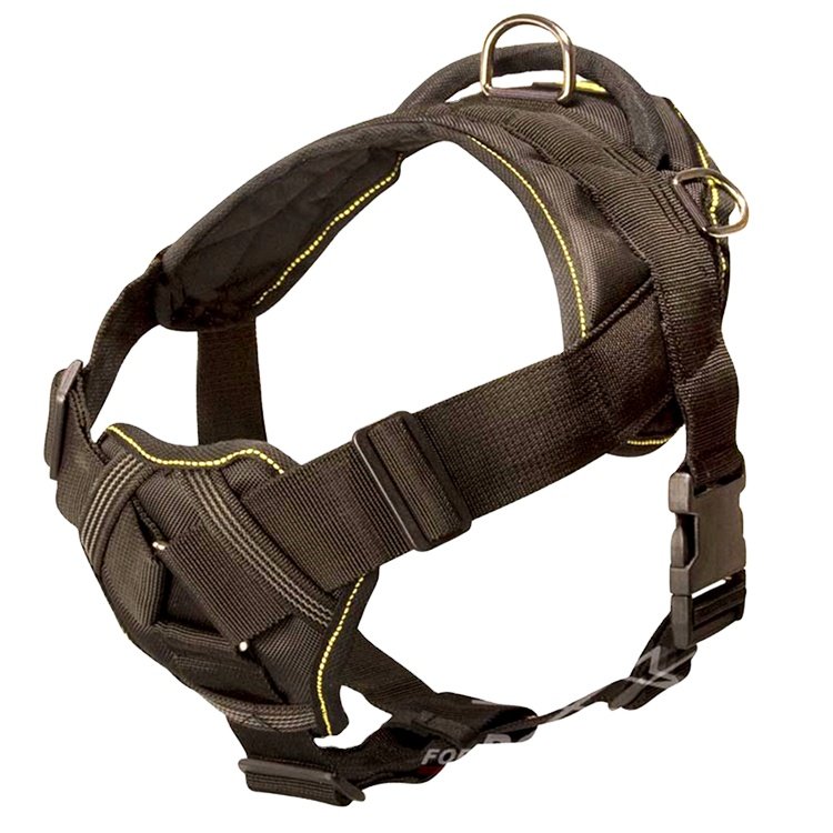 Safe durable dog training harness