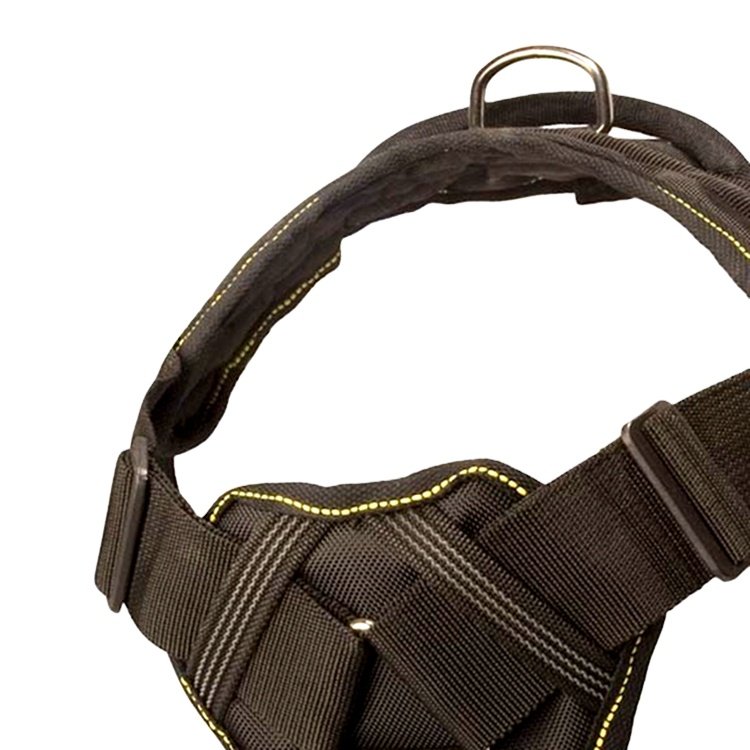 Safe durable dog training harness