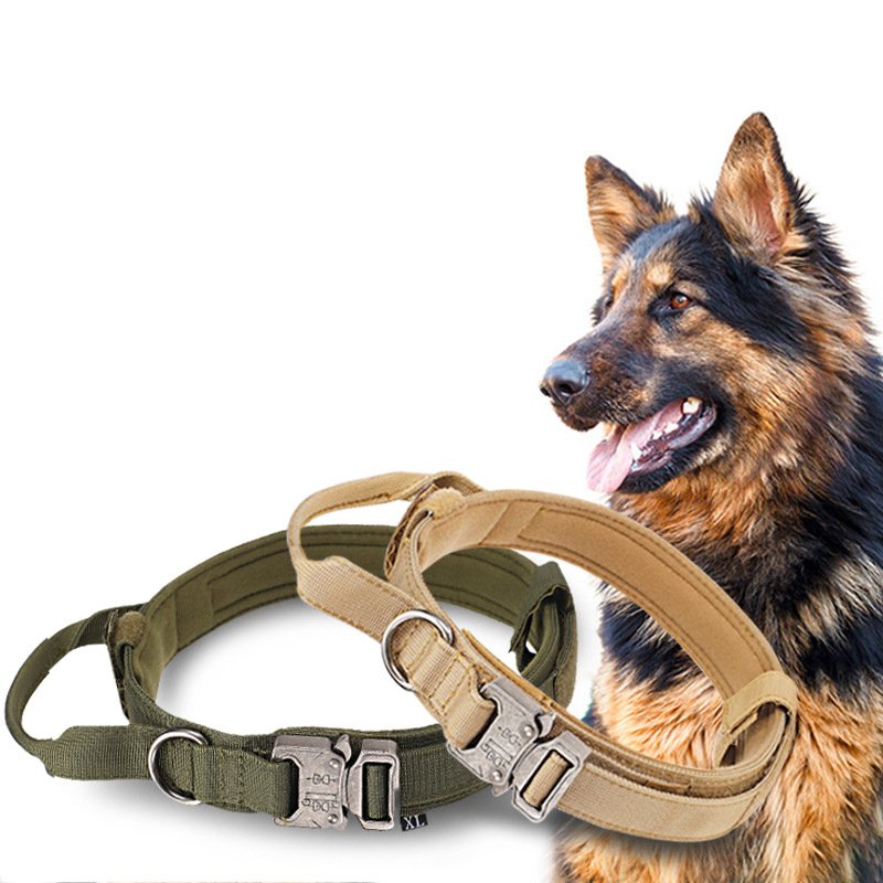 HanYang OEM Custom Pet Dog training collar and leash sets Nylon elastic Dog leash and collar set for Medium and large dog