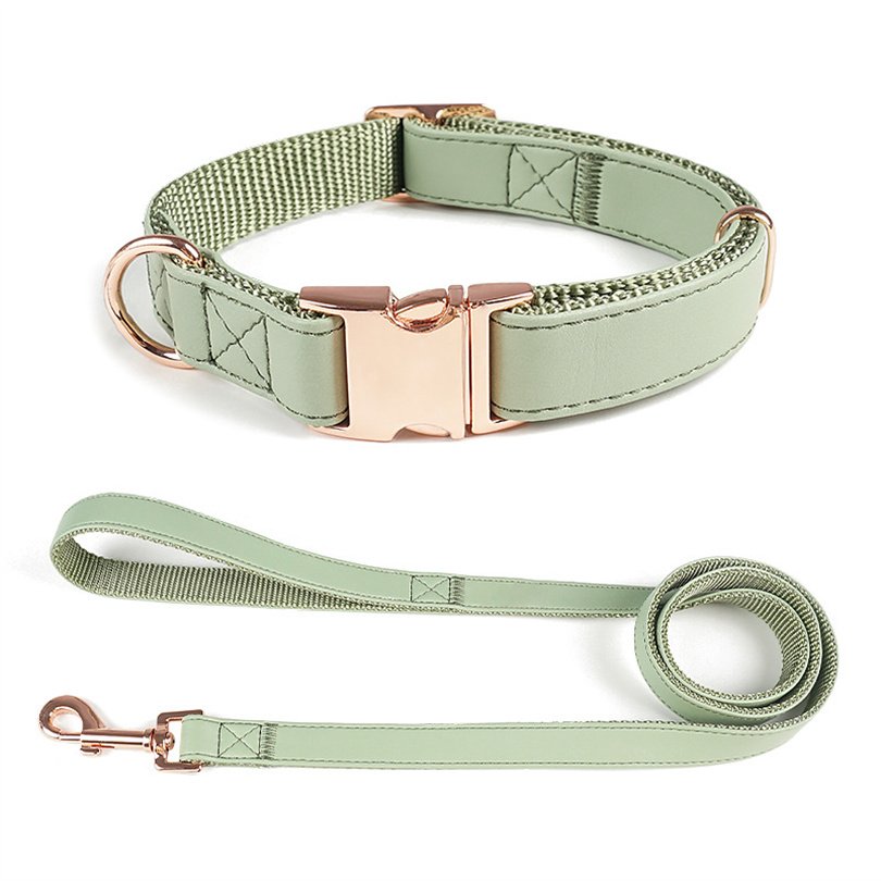 Hot selling pet collars Small and medium sized dog leash Wholesale of dog leashes dog chains and pet supplies