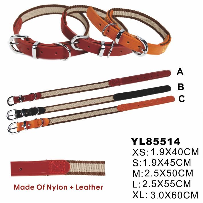 Pet Products Best Selling Pet Collar And Leash For Puppy cute dog collar