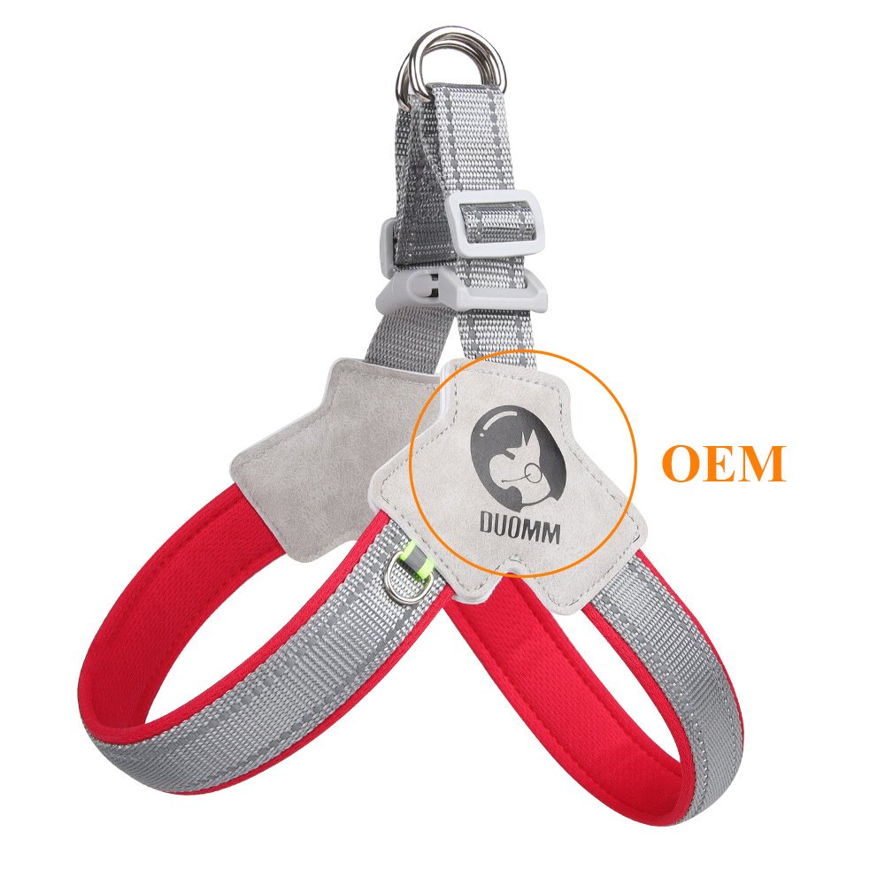 Professional Cheap Fully Stocked New Dog Collar Adjustable Chest Strap Safety Dog Leash