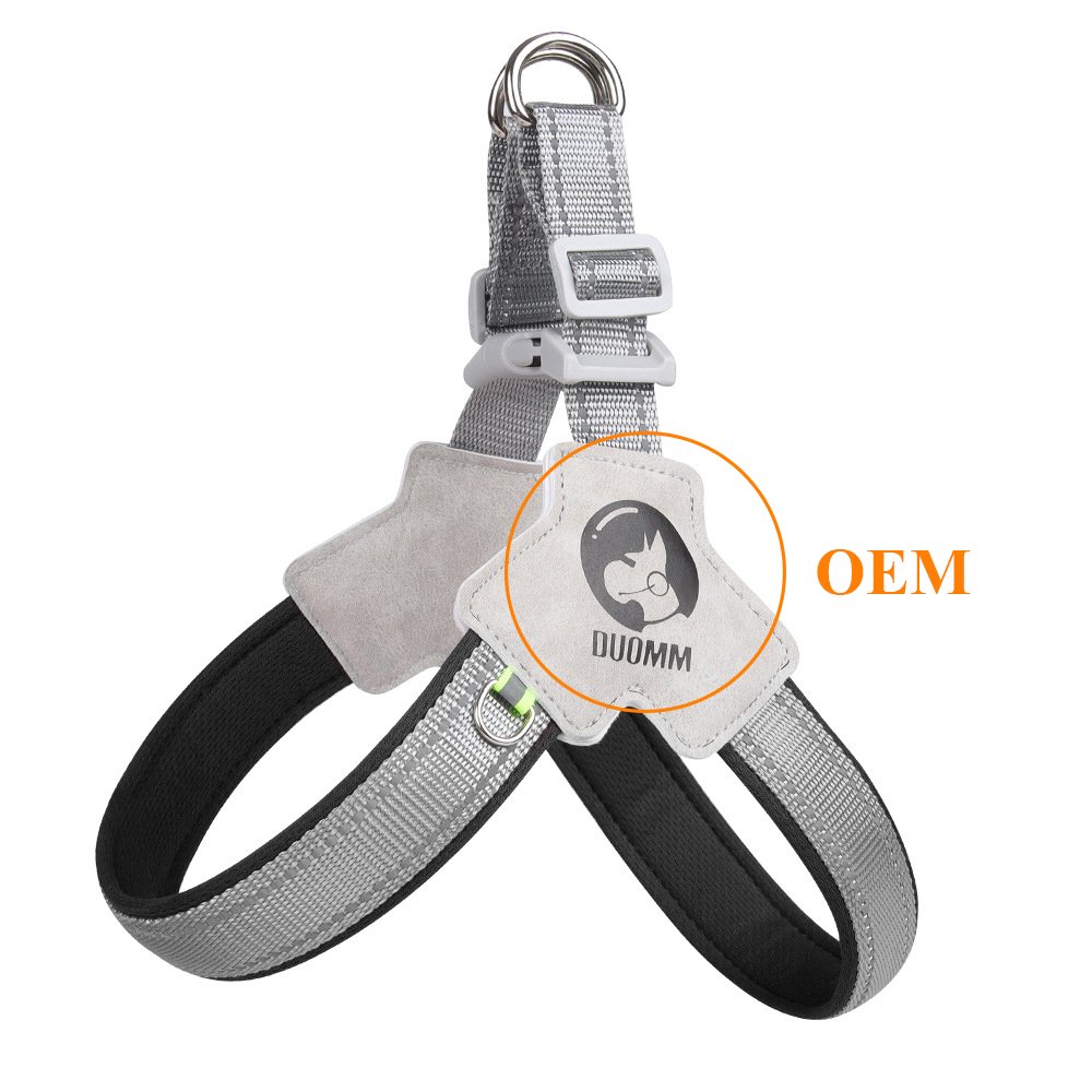 Professional Cheap Fully Stocked New Dog Collar Adjustable Chest Strap Safety Dog Leash
