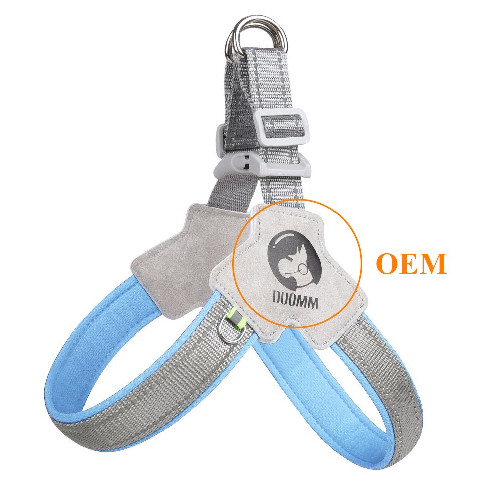 Professional Cheap Fully Stocked New Dog Collar Adjustable Chest Strap Safety Dog Leash
