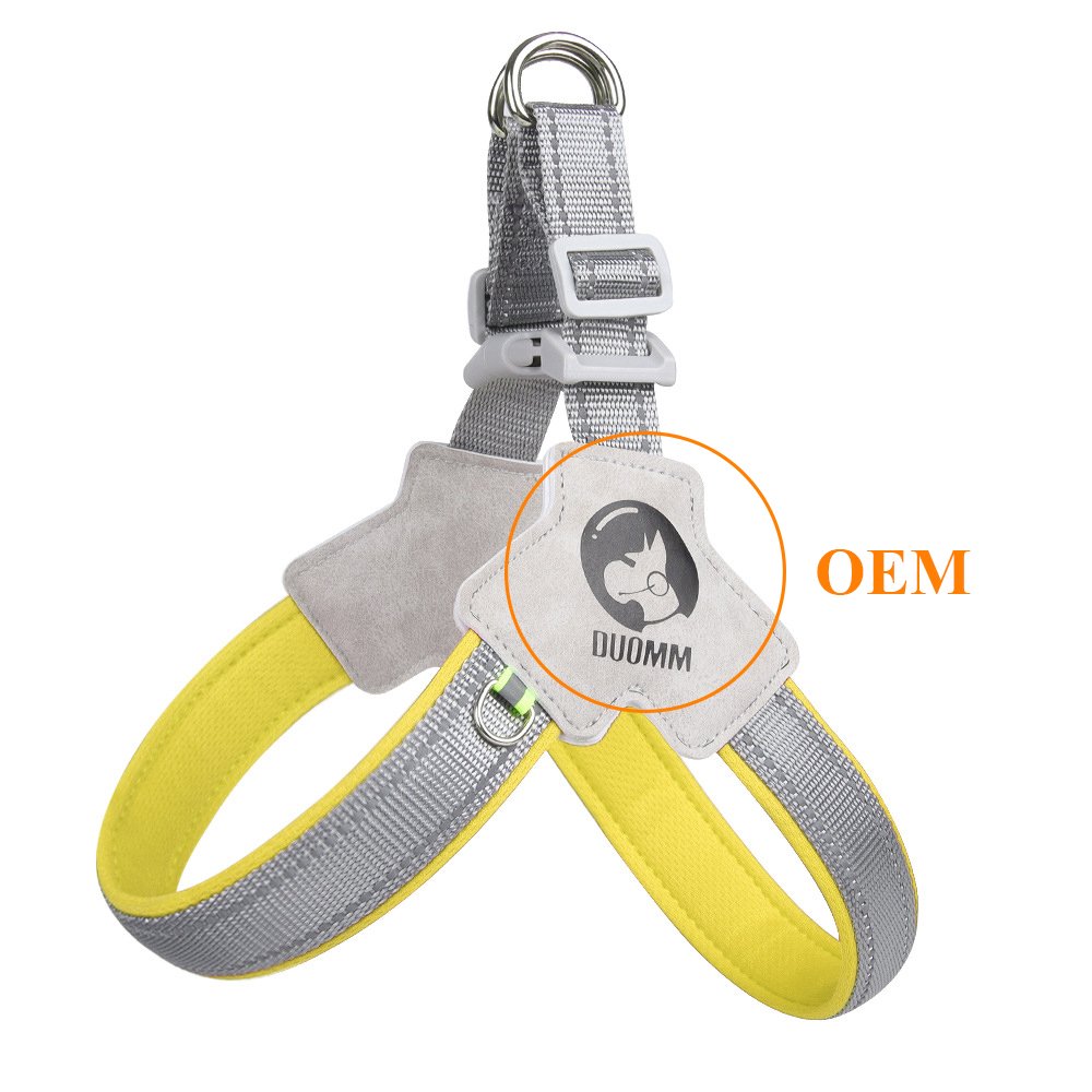 Professional Cheap Fully Stocked New Dog Collar Adjustable Chest Strap Safety Dog Leash