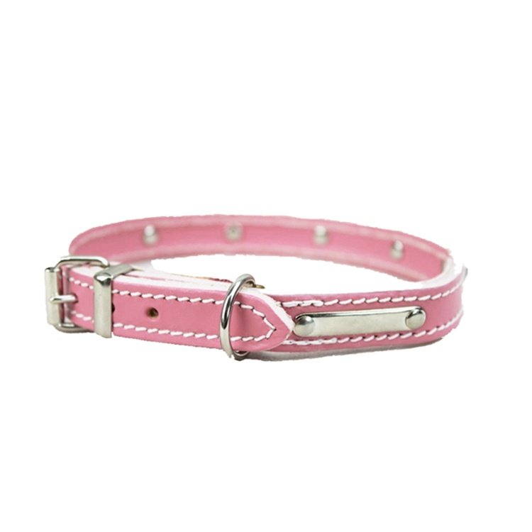 Lovely cute little puppy pet dog collar