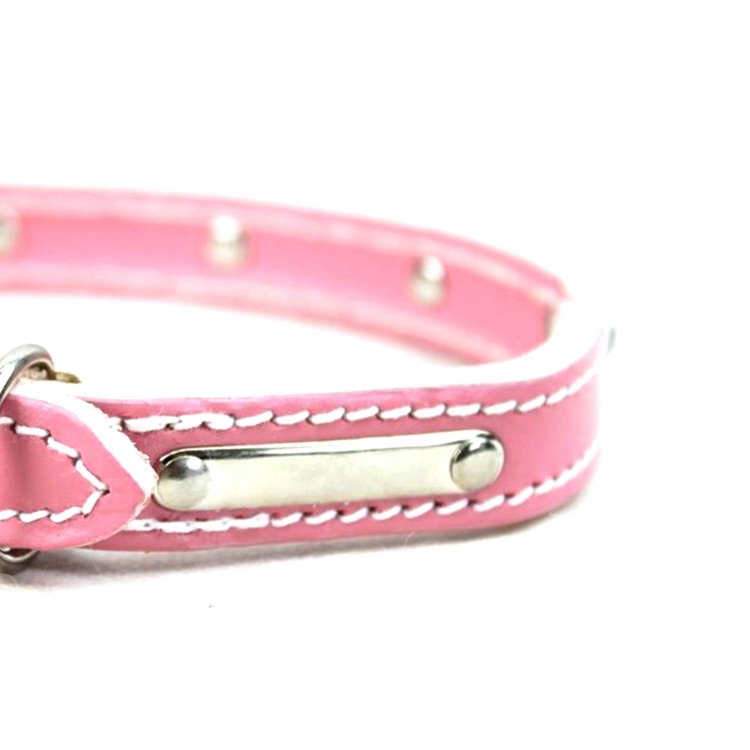 Lovely cute little puppy pet dog collar