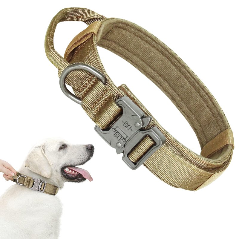 High Quality Heavy Duty Metal Buckle Pet Collar Large Dogs collar And leash Set Tactical Dog Collars