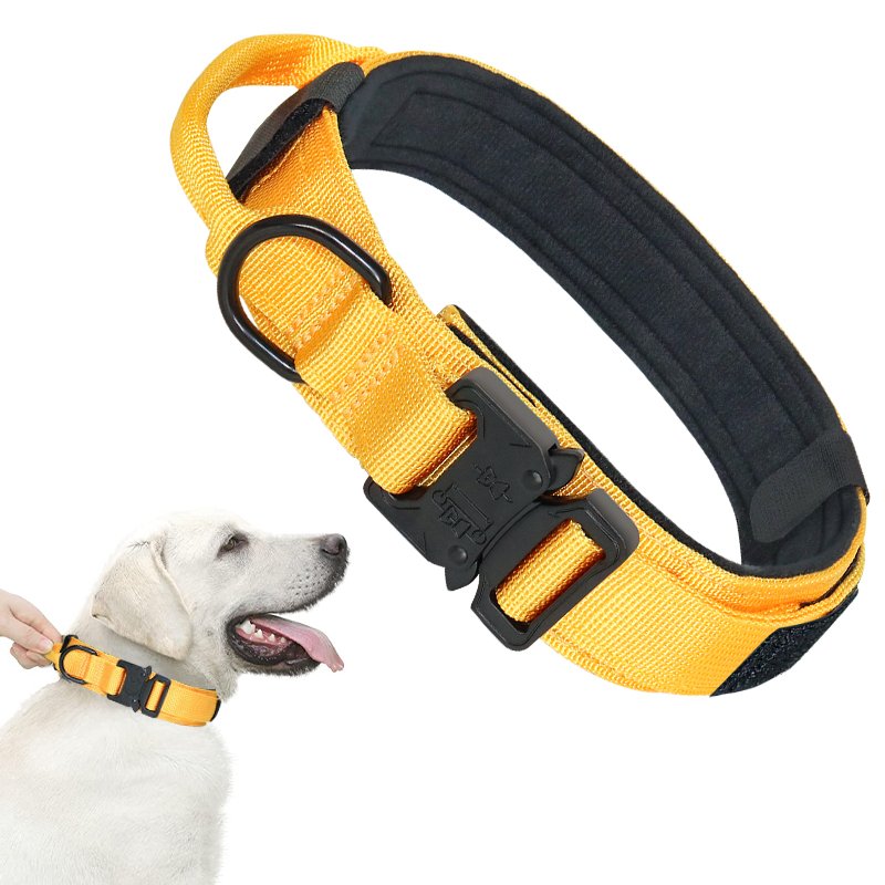 High Quality Heavy Duty Metal Buckle Pet Collar Large Dogs collar And leash Set Tactical Dog Collars