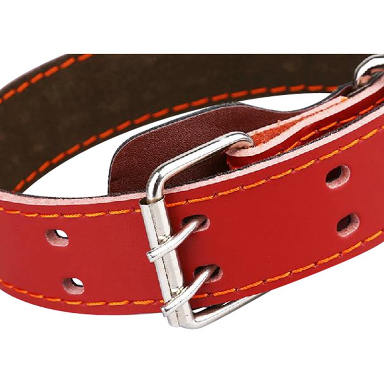 Hot sale pet accessories hunting big dog training collar