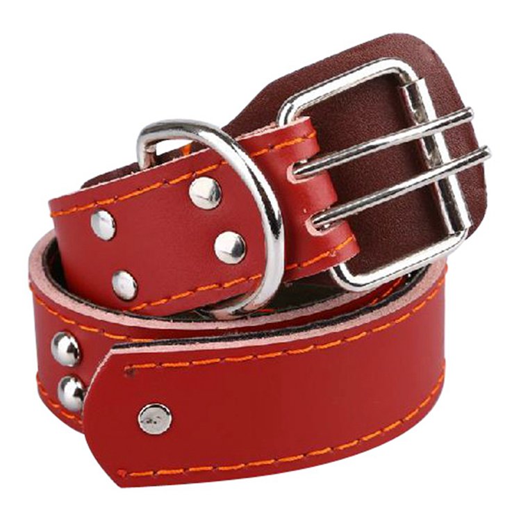 Hot sale pet accessories hunting big dog training collar