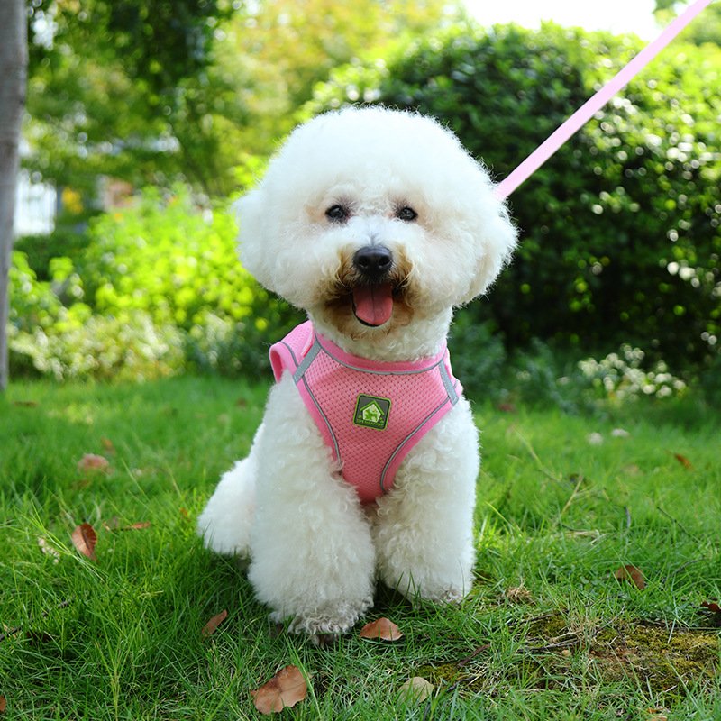 Rarewe Pet Accessories Custom Logo Dog Vest Harnesses No Pull Collars Leash Sets Solid Color Training Dog Tactical Harness