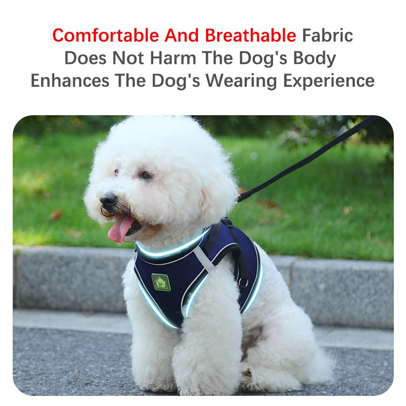 Rarewe Pet Accessories Custom Logo Dog Vest Harnesses No Pull Collars Leash Sets Solid Color Training Dog Tactical Harness