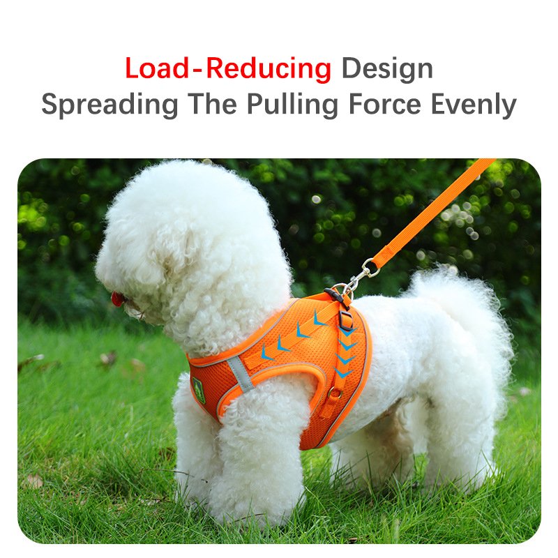 Rarewe Pet Accessories Custom Logo Dog Vest Harnesses No Pull Collars Leash Sets Solid Color Training Dog Tactical Harness