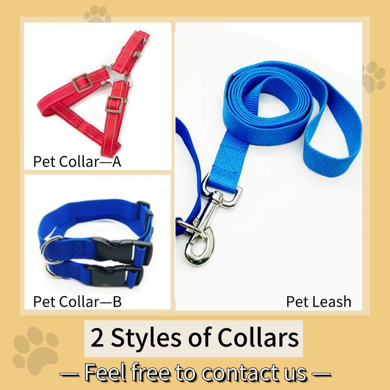 Personalized Diy Customized Big Metal Buckle Reflective Custom Printed Logo Tactical Collar Cat Dog Pet Leashes Collar Dog Leash