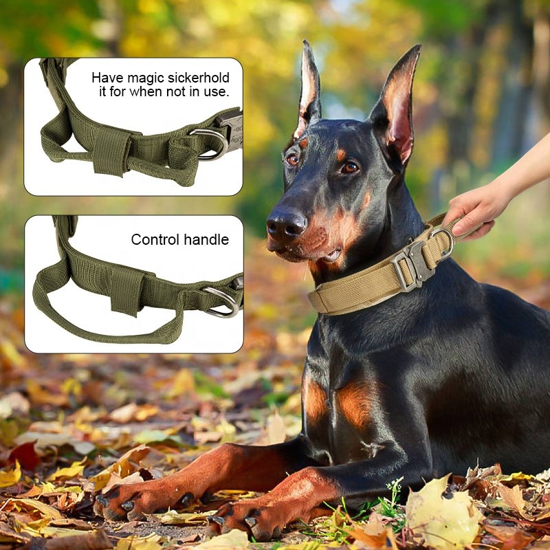 High Quality Heavy Duty Metal Buckle Pet Dog Training Collar Large Dogs Collar And Leash Set Tactical Dog Collar