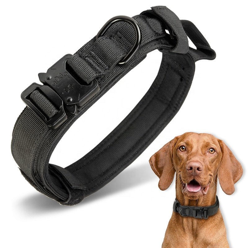 High Quality Heavy Duty Metal Buckle Pet Dog Training Collar Large Dogs Collar And Leash Set Tactical Dog Collar