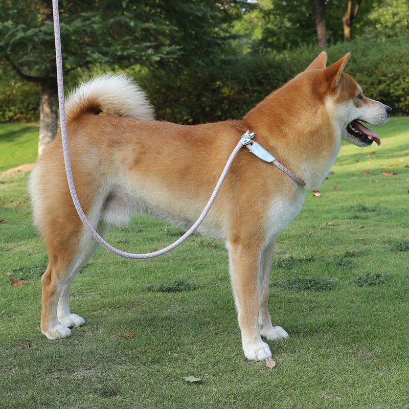 Pet Shop Thick nylon dog leash Other Pet products Dog chain collar dog rope