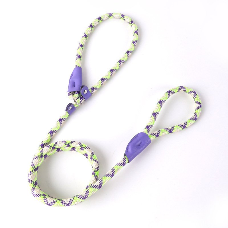 Pet Shop Thick nylon dog leash Other Pet products Dog chain collar dog rope