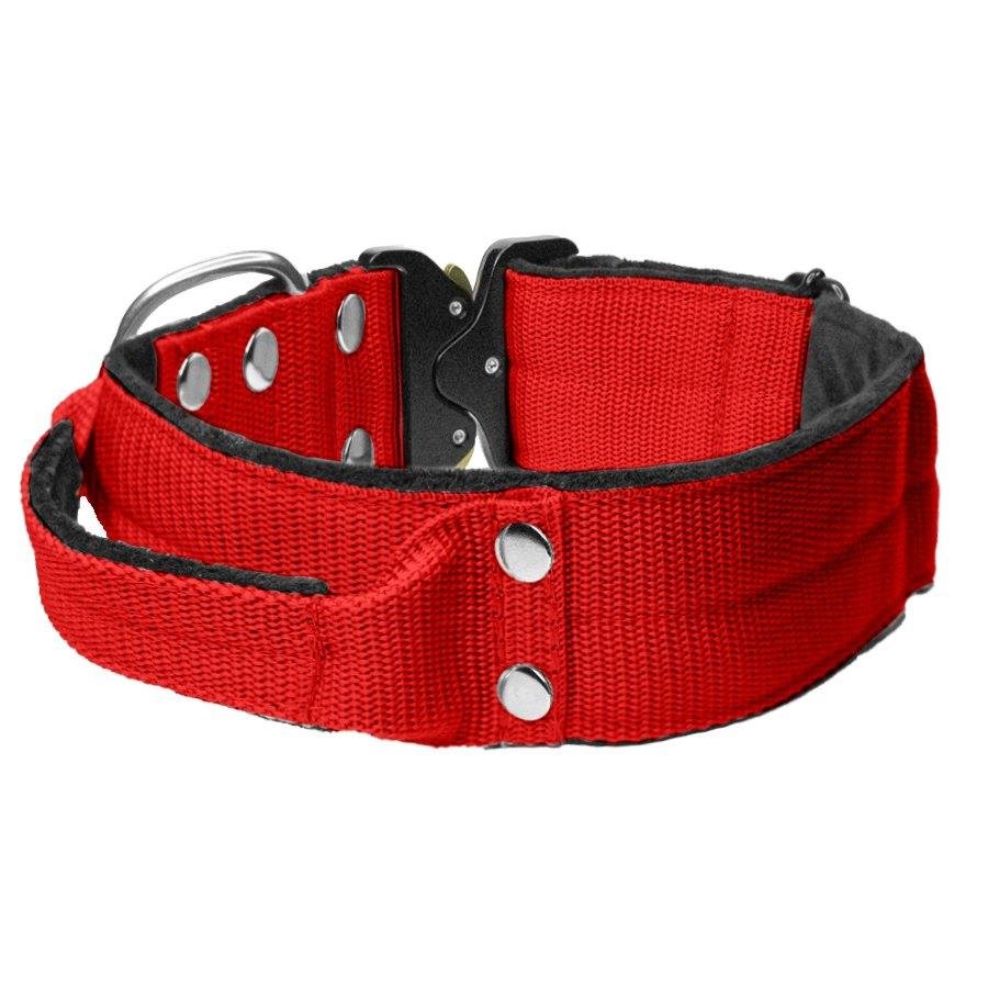 OEM 2 inch nylon metal heavy training pet collar neoprene wide heavy duty bully dog collar with handle