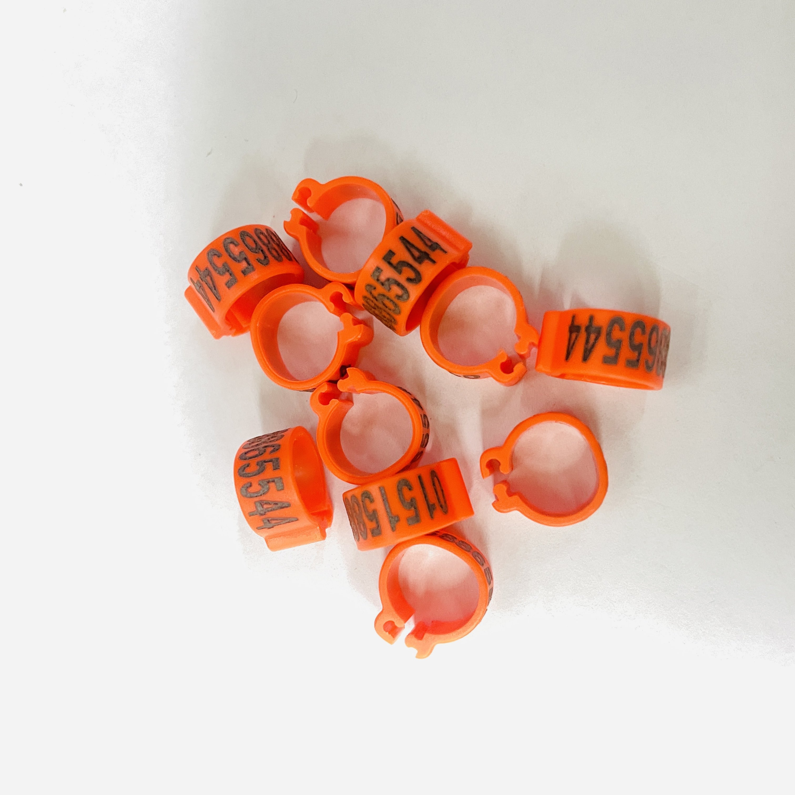 8mm 10mm 12mm 14mm Colorful Plastic Bird Clip Bands Bird Parrot Racing Rings Pigeon Rings