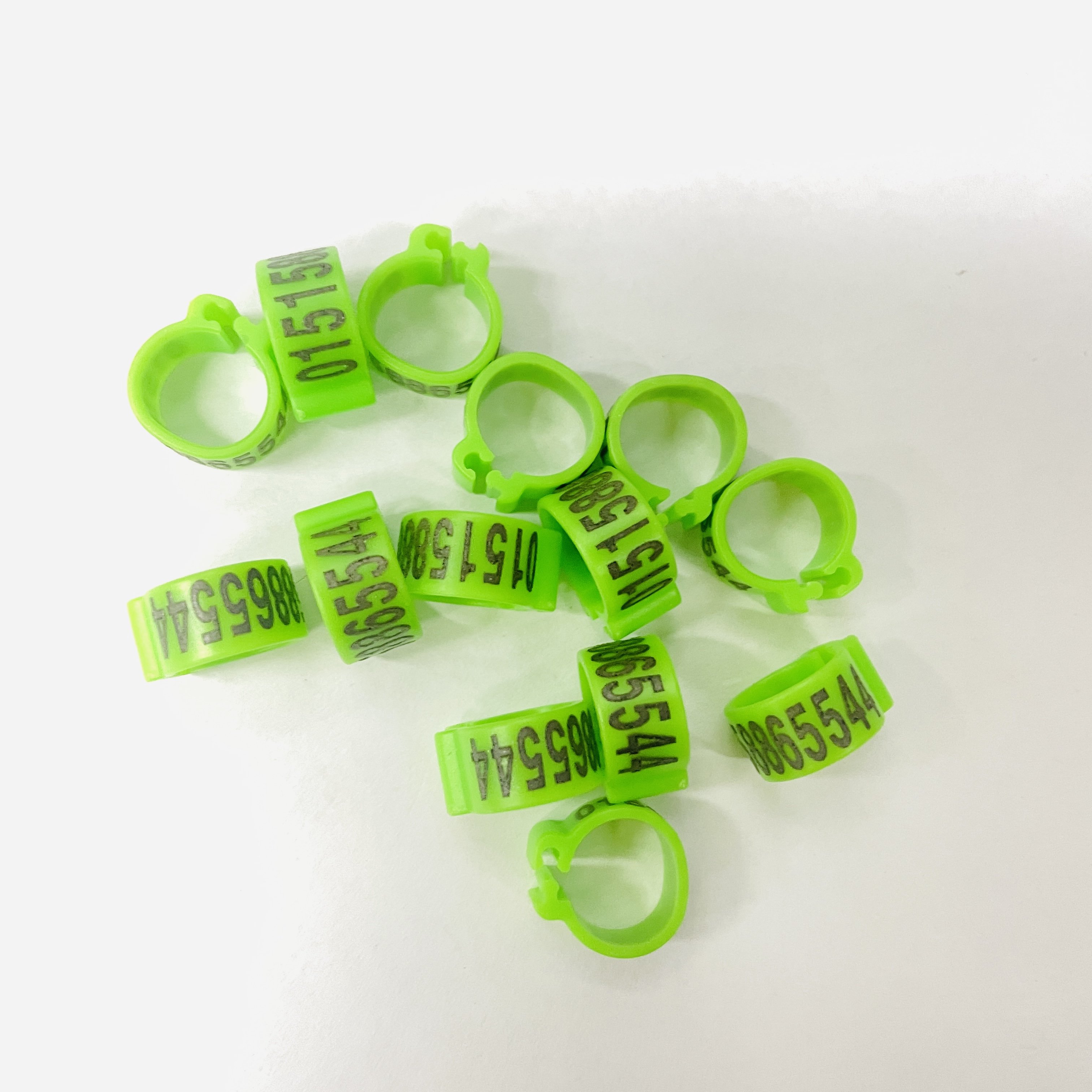 8mm 10mm 12mm 14mm Colorful Plastic Bird Clip Bands Bird Parrot Racing Rings Pigeon Rings