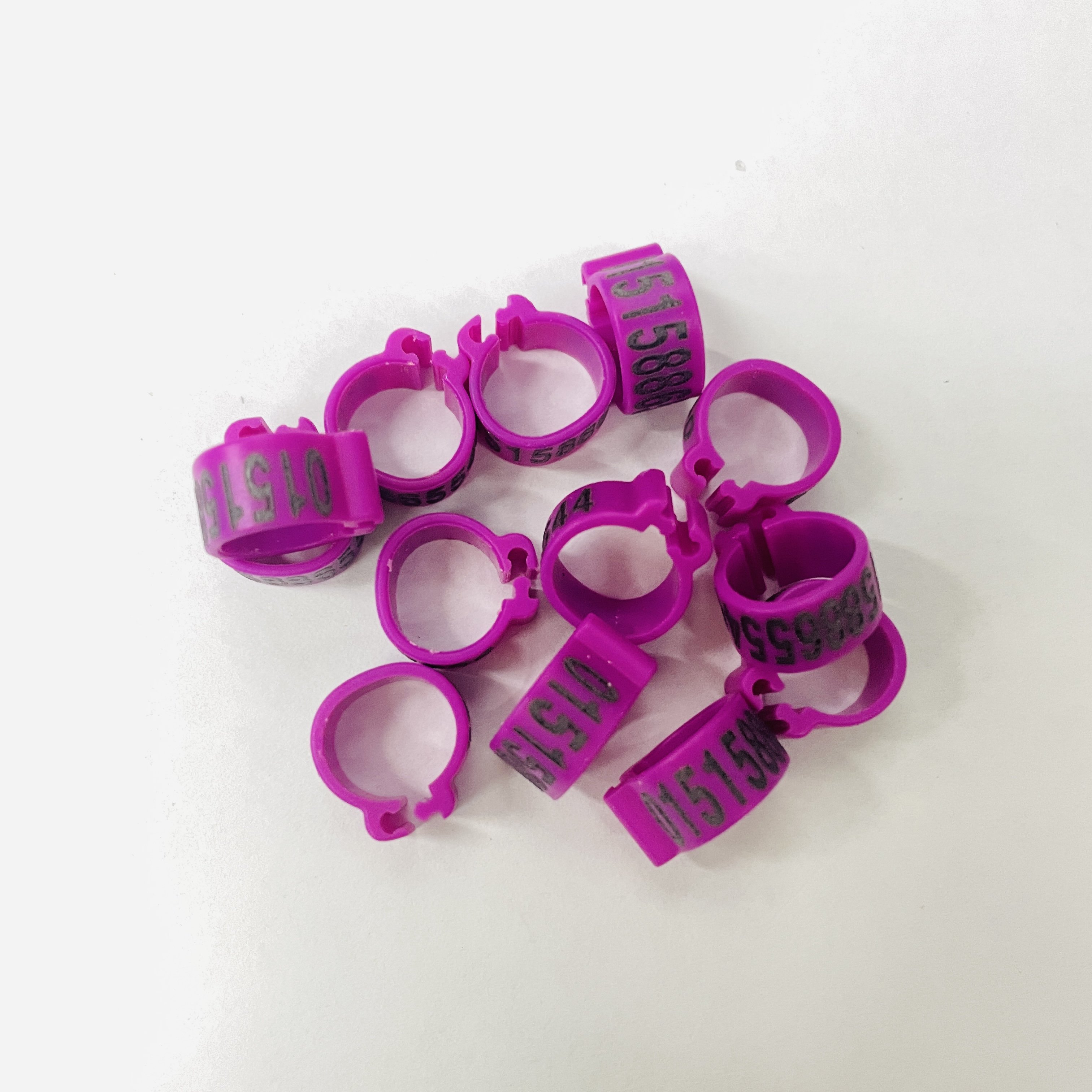 8mm 10mm 12mm 14mm Colorful Plastic Bird Clip Bands Bird Parrot Racing Rings Pigeon Rings