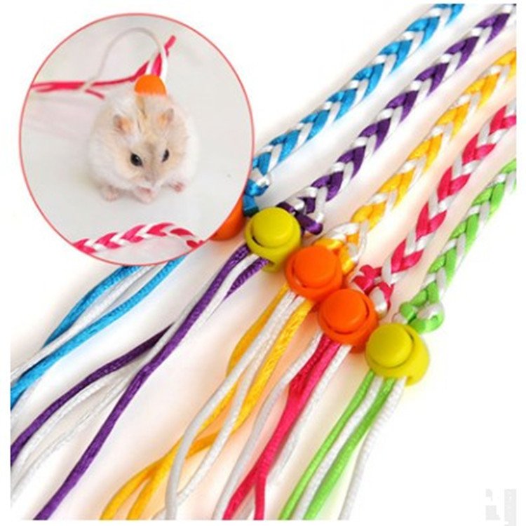 Hot Selling Heavy Duty Frog Clip Dog Leash Heavy Duty Double Handle Pet Collar Paracord Dog Collar Leash Set
