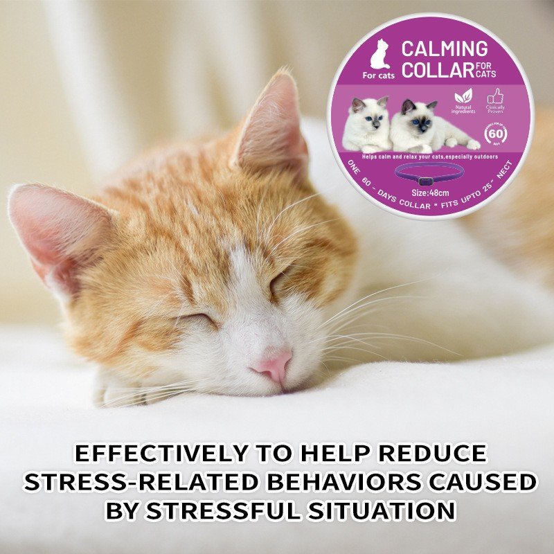 pet products calming collar for dog and cat to clam pet down