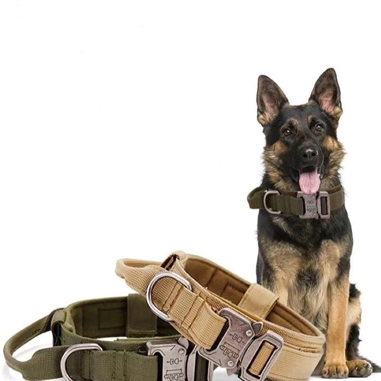 Wholesale Training Thick Braided Large Heavy Duty Custom Pet Nylon Adjustable Tactical Metal Buckle Hardware Set Dog Collar