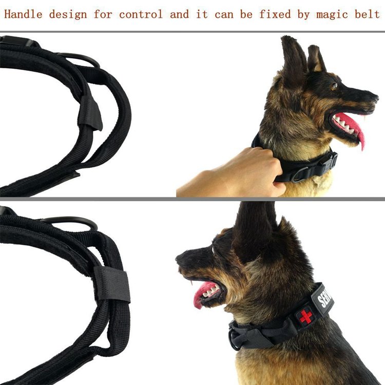 Best selling high quality dog collar pet collar