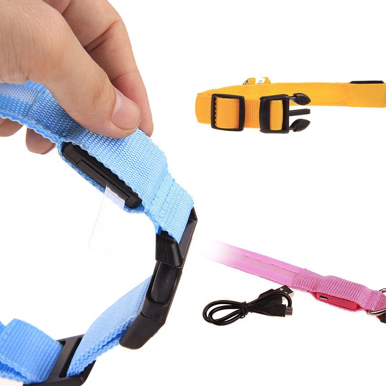 Dog leash pet dog collars and leash pet products luxury collar custom pet supplies colorful dog collar pvc
