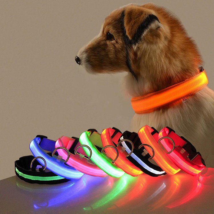 Dog leash pet dog collars and leash pet products luxury collar custom pet supplies colorful dog collar pvc