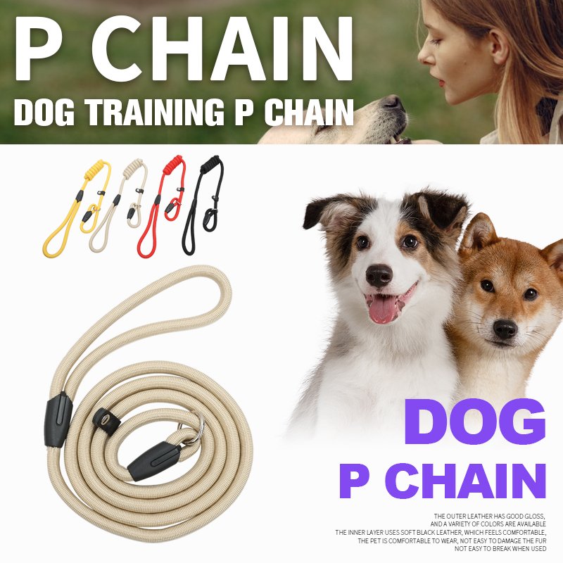 Hot Sale Lightweight Durable Non-Slip Dog Leash Collar Thickened P-chain Loop Slip Lead Running Nylon Training Traction Rope