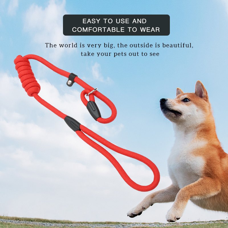 Hot Sale Lightweight Durable Non-Slip Dog Leash Collar Thickened P-chain Loop Slip Lead Running Nylon Training Traction Rope