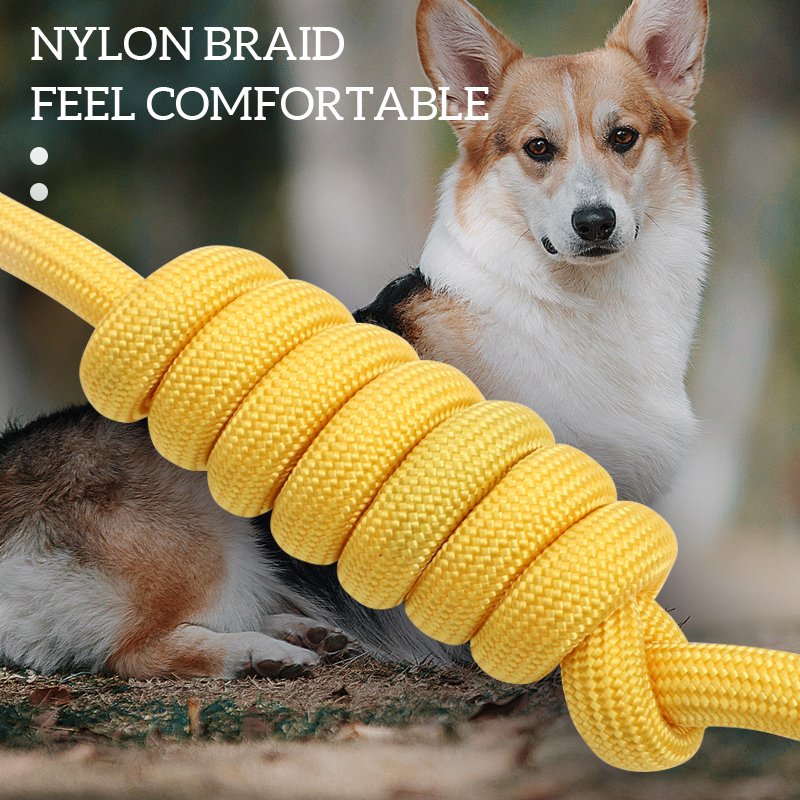 Hot Sale Lightweight Durable Non-Slip Dog Leash Collar Thickened P-chain Loop Slip Lead Running Nylon Training Traction Rope