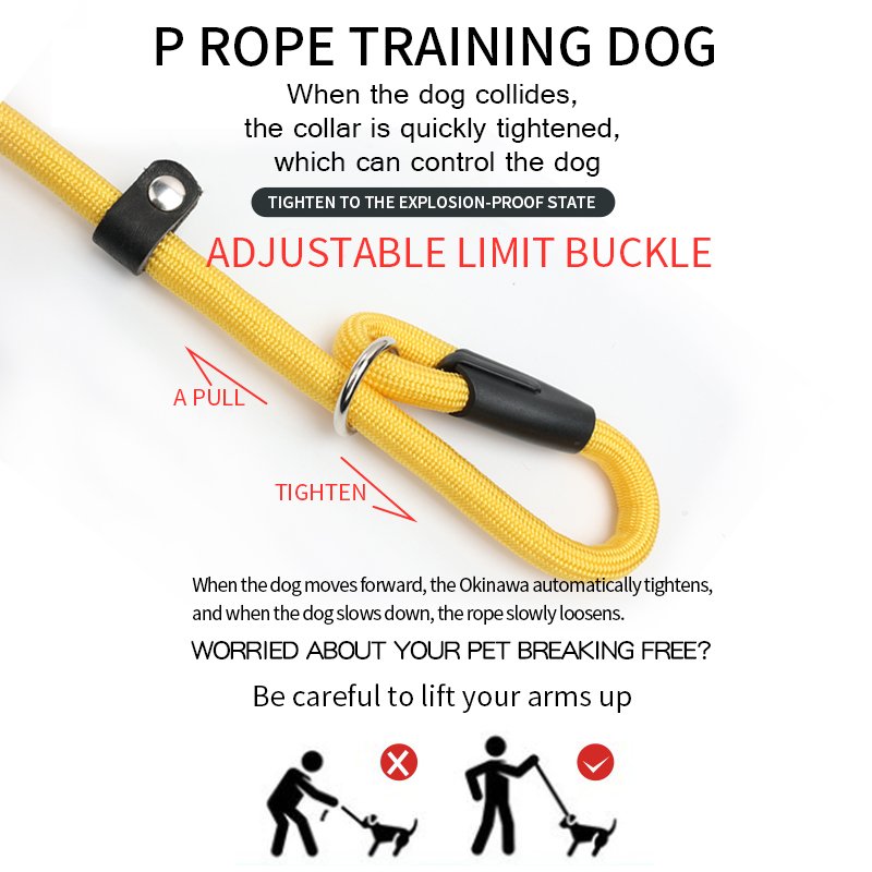 Hot Sale Lightweight Durable Non-Slip Dog Leash Collar Thickened P-chain Loop Slip Lead Running Nylon Training Traction Rope