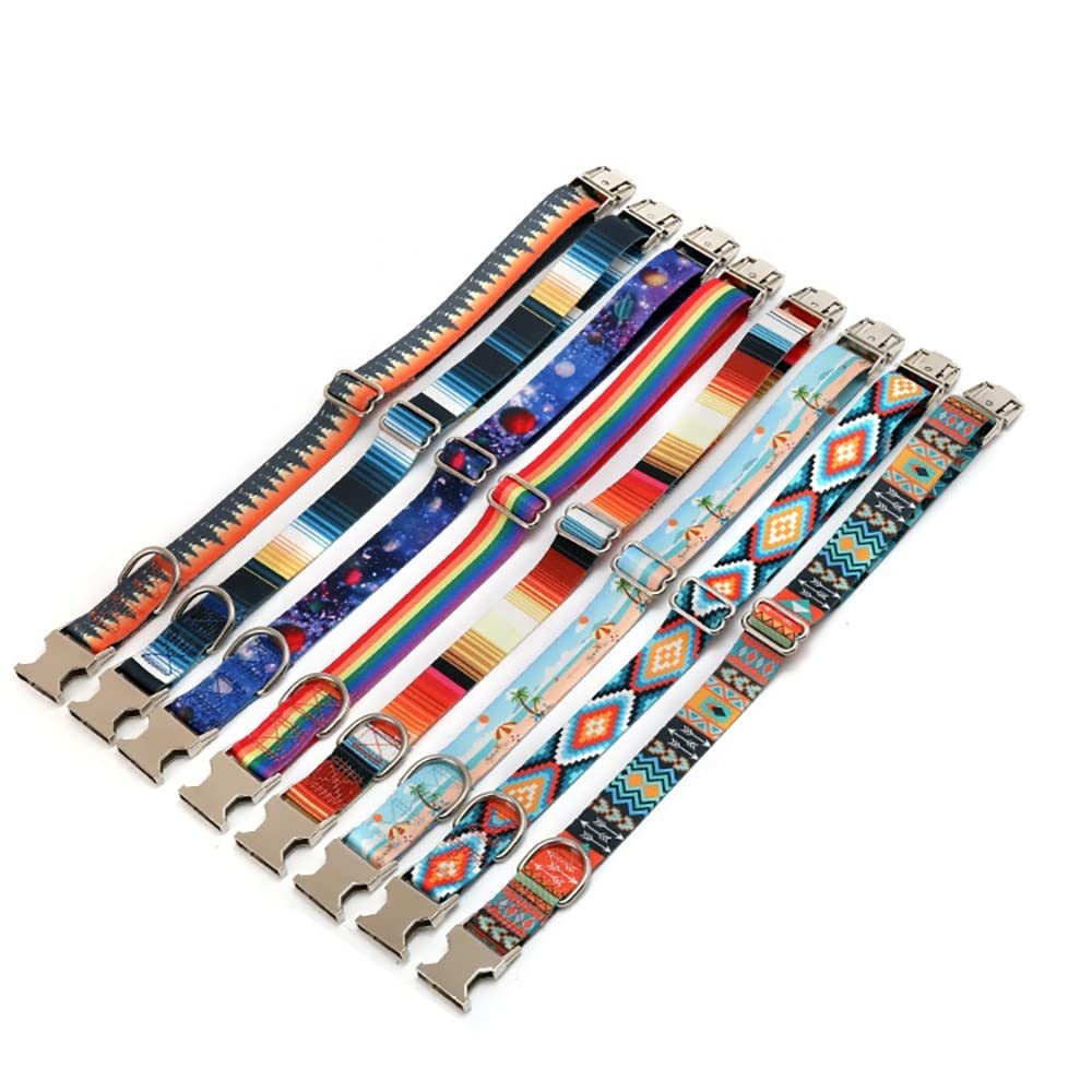 Custom Designer Pet Adjustable Dog Collar Leash Set for Dog