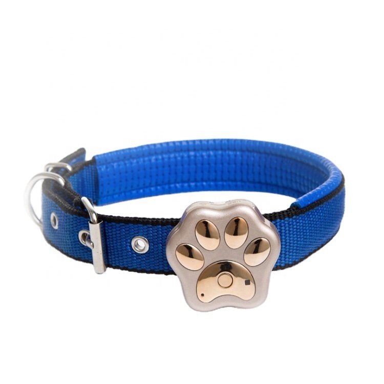 Designer Dog Lead Collar Luxury Small Dog Harness Wholesale Fashionable Dog Pet Collar & Leash