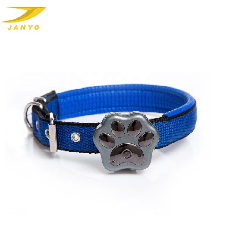 Designer Dog Lead Collar Luxury Small Dog Harness Wholesale Fashionable Dog Pet Collar & Leash