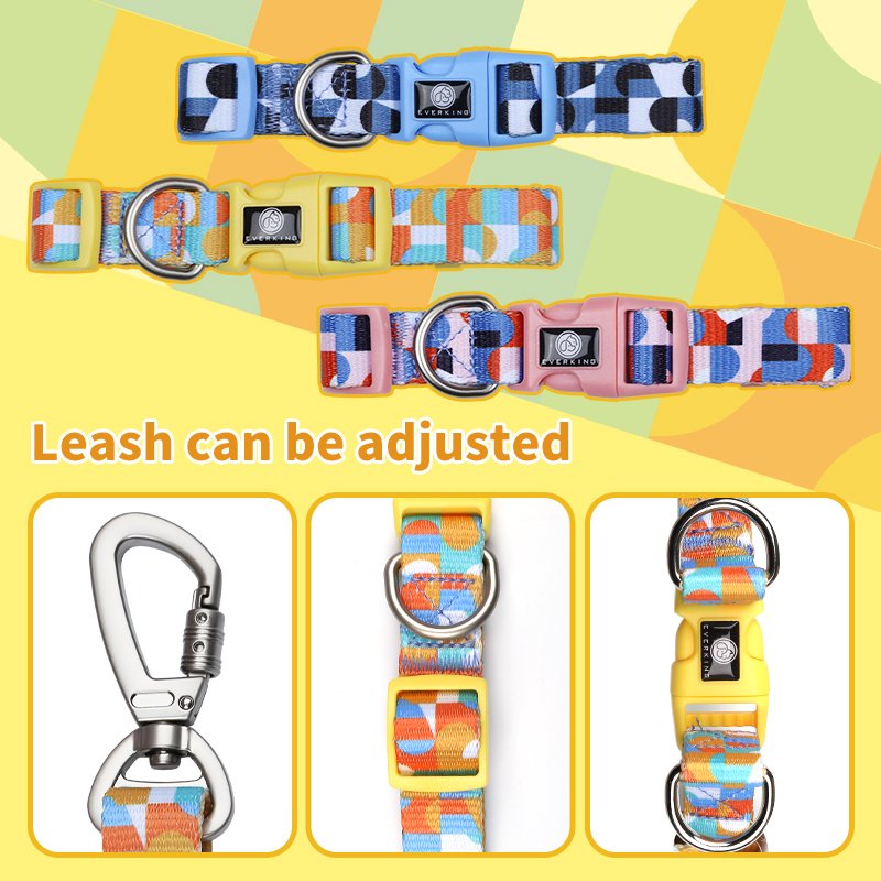 Dog Training Leash Dog Collar Wholesale Lightweight Small Medium Dog High Quality Pet Supplies