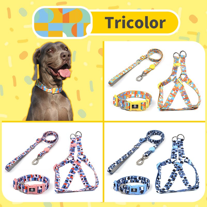 Dog Training Leash Dog Collar Wholesale Lightweight Small Medium Dog High Quality Pet Supplies