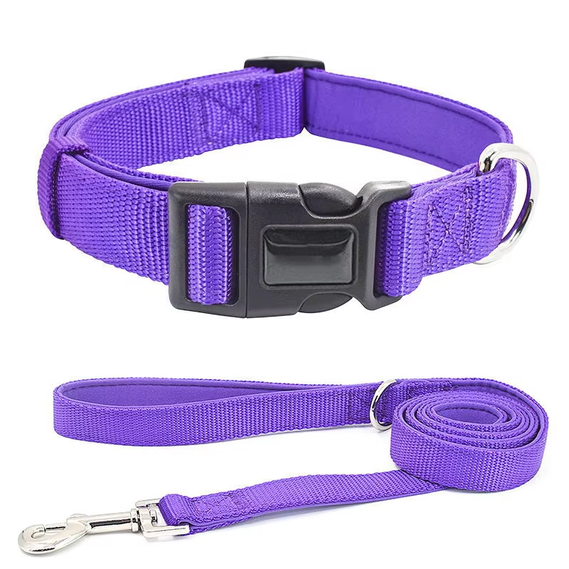 Reliable Performance Dog Training Collar Pet Lead Dog Walking Collar Set Pet Leashes Luxury Custom Pet Collars