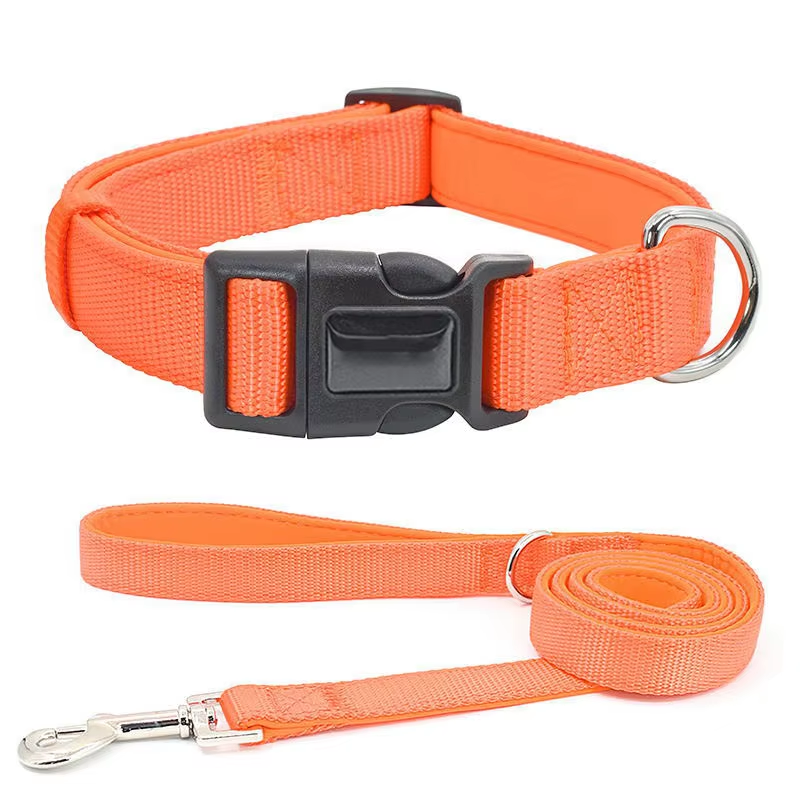 Reliable Performance Dog Training Collar Pet Lead Dog Walking Collar Set Pet Leashes Luxury Custom Pet Collars