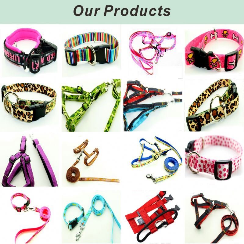 Factory Manufacture high quality reflected cheap plain nylon Waterproof dog collars and leashes