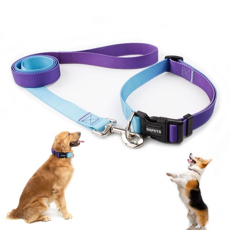 Factory Manufacture high quality reflected cheap plain nylon Waterproof dog collars and leashes