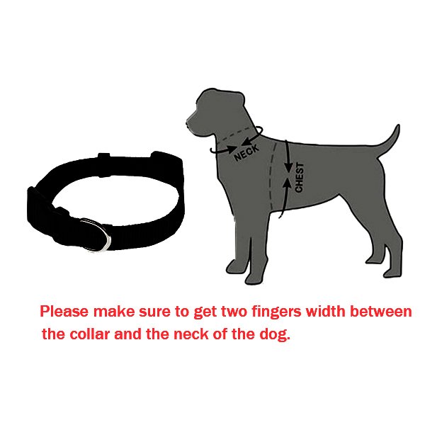 Factory Manufacture high quality reflected cheap plain nylon Waterproof dog collars and leashes