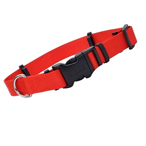 Wholesale Dog Collars Pet Products Pet Collars Adjustable Collars Pet Supplies