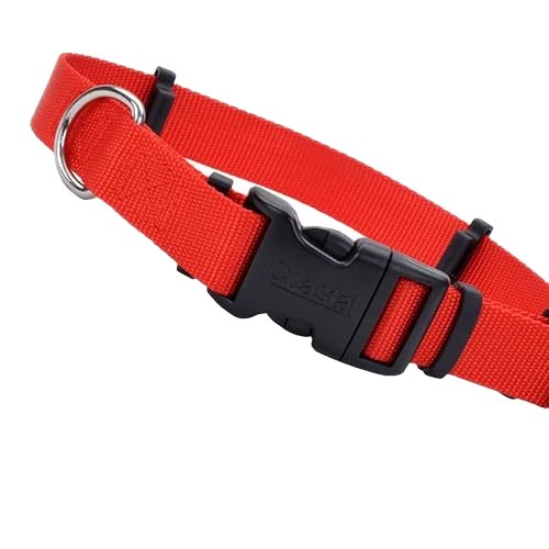 Wholesale Dog Collars Pet Products Pet Collars Adjustable Collars Pet Supplies