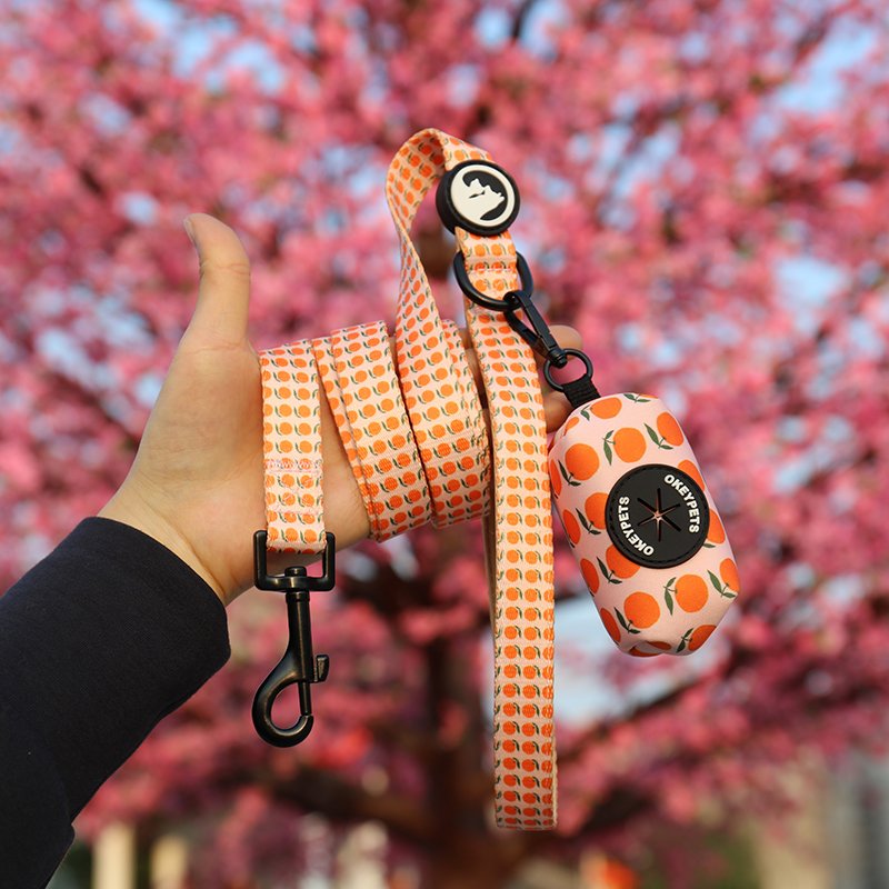 OKEYPETS Promotional Oem Pattern Buckle Double Layers Colorful Dog Leash Sublimation and Eco Friendly Dog Poop Bags Holder